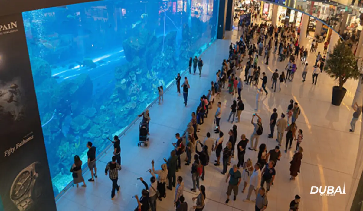 Dubai-Aquarium-Underwater-Zoo