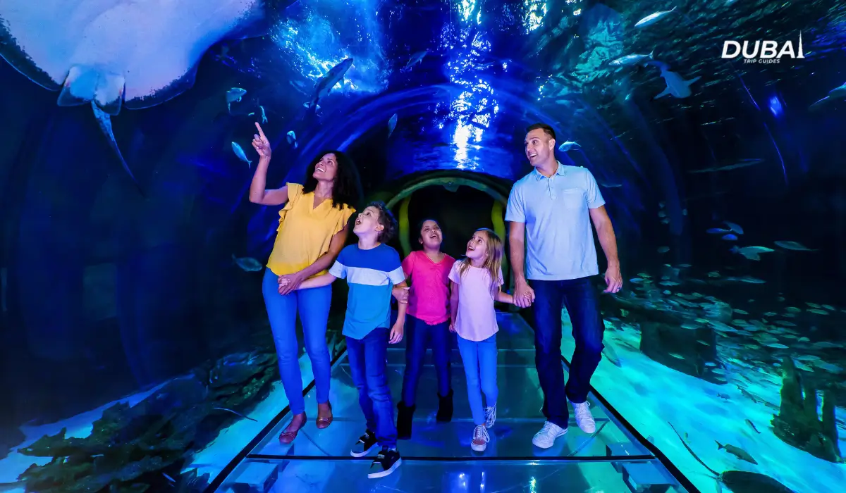 Dubai-Aquarium-Underwater-Zoo