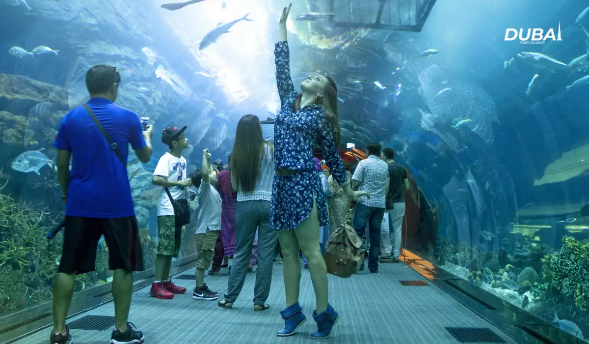 Dubai-Aquarium-Underwater-Zoo
