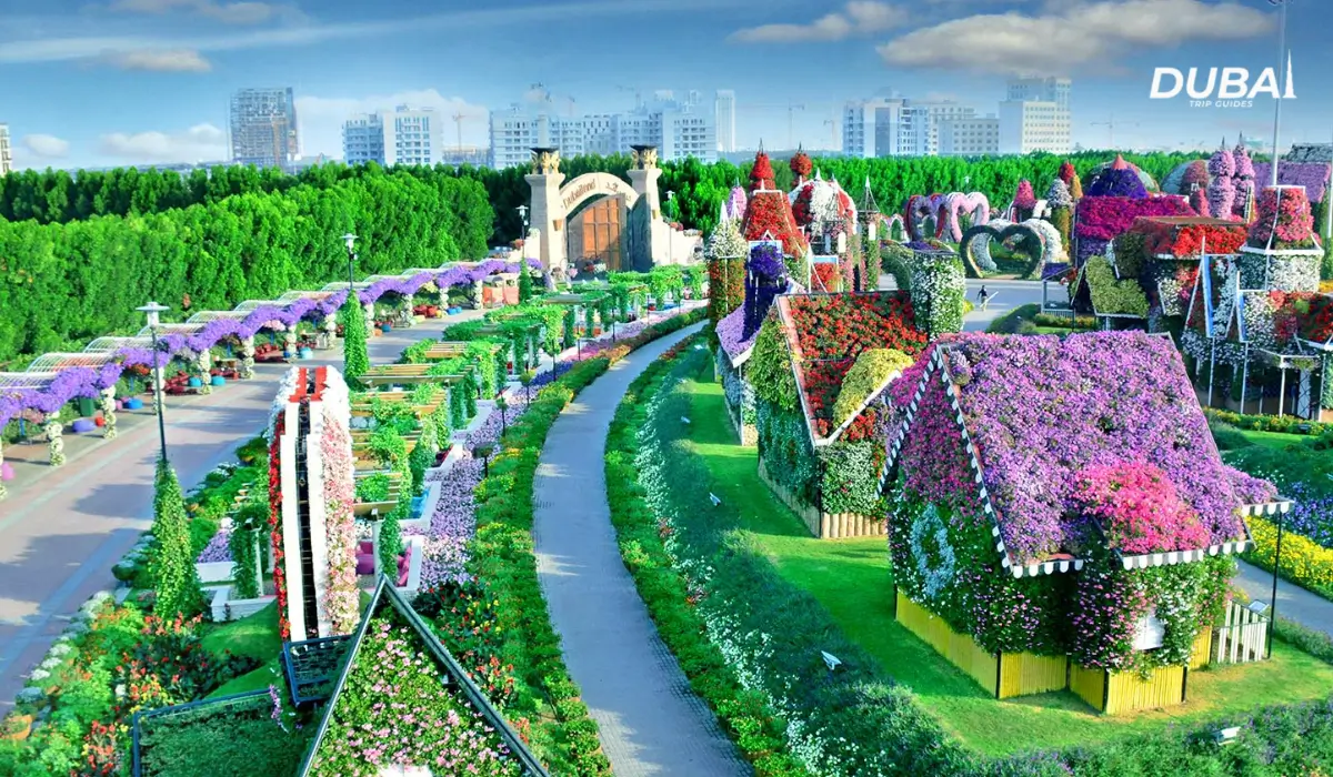 Dubai-Miracle-Garden-opening-hours