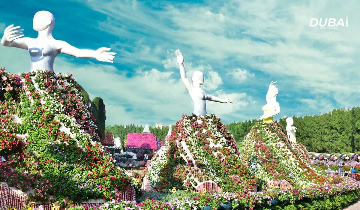 Dubai-Miracle-Garden-opening-hours