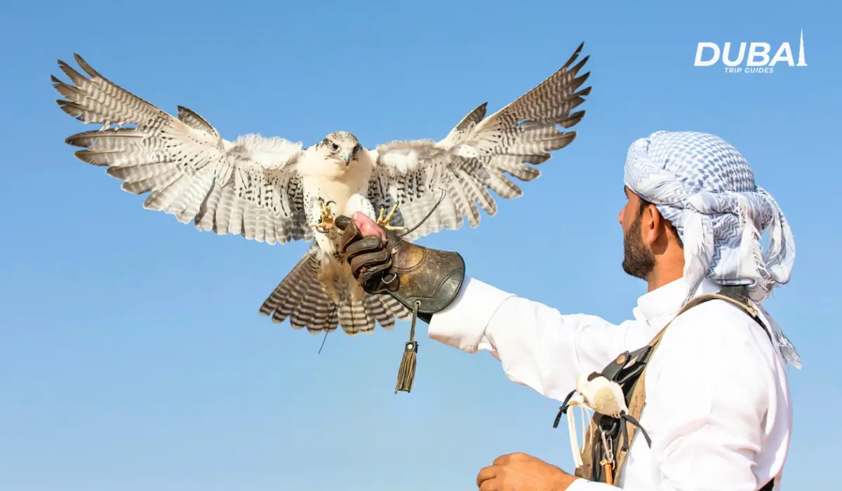 Heritage Sports and Traditional Pastimes