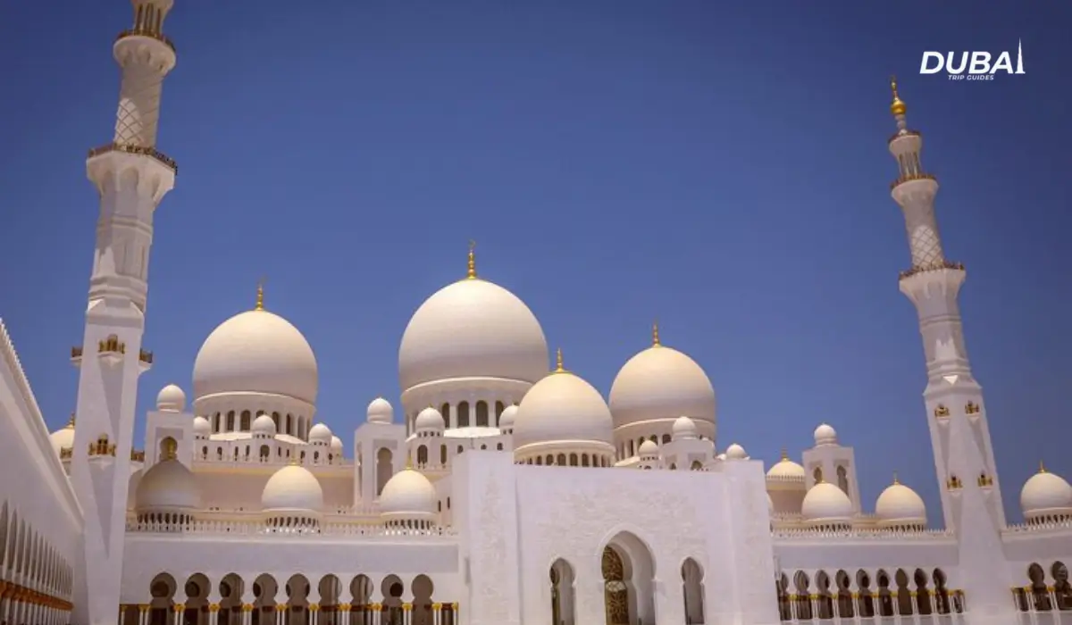 sheikh zayed grand mosque opening time