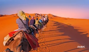best-desert-safari-tour-operator-in-Dubai