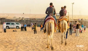 best-desert-safari-tour-operator-in-Dubai