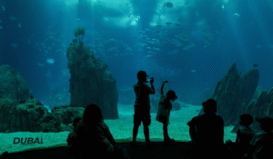 Atlantis The Palm Underwater Suite