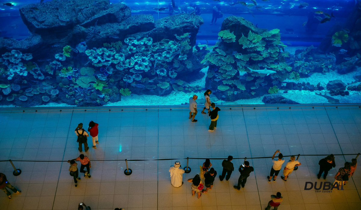 Atlantis The Palm Underwater Suite