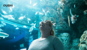 Atlantis The Palm Underwater Suite