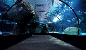 Atlantis The Palm Underwater Suite