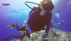 Atlantis The Palm Underwater Suite