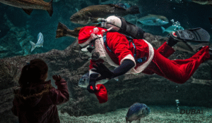 Atlantis The Palm Underwater Suite