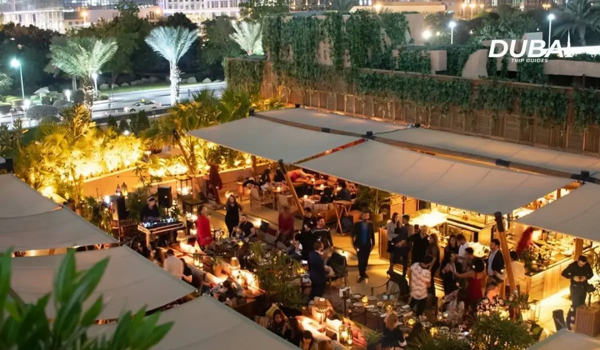 Best Concerts and Gigs in Dubai