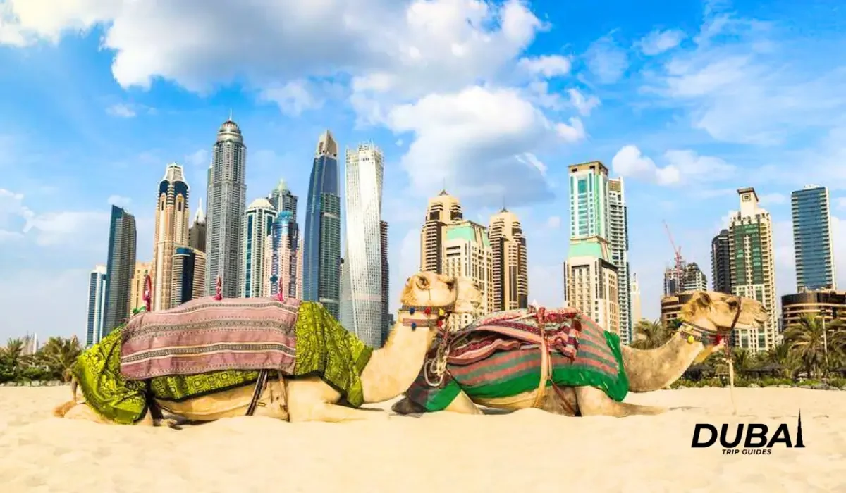 Dubai Culture and Traditions