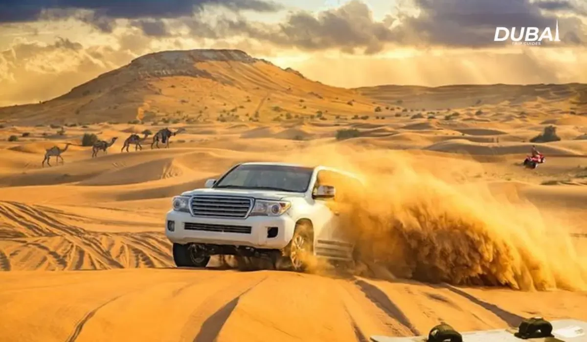 best desert safari tour operator in Dubai 1